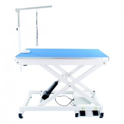 r rover grooming table