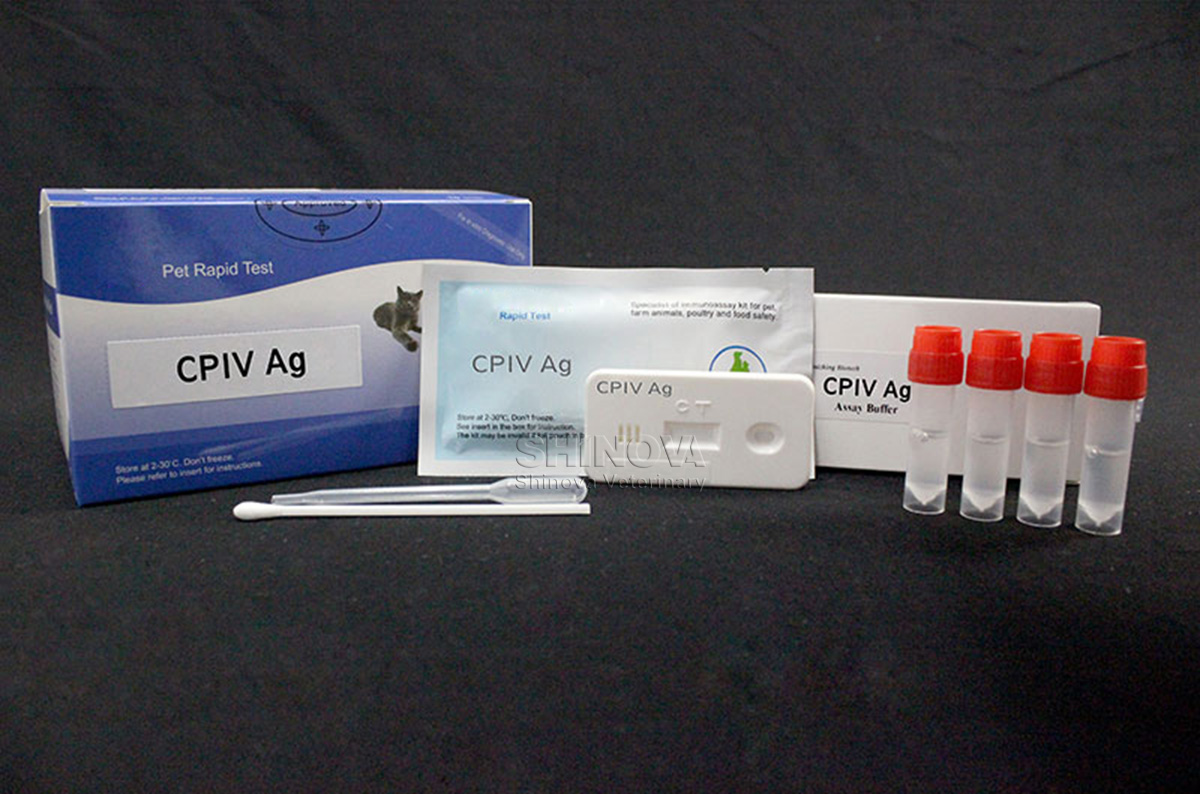 CPIV Ag Rapid Test