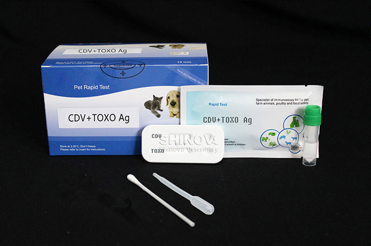 Pet тесты. AG Rapid Test. Тест Toxo AG. Диагностического теста antigen Rapid CDV AG.. CDV Test.