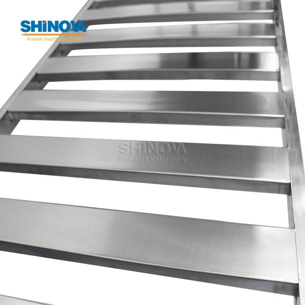 Stainless Steel Animal Dissection Table