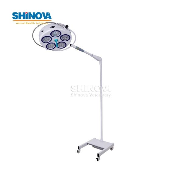 Standing LED Cold Light Surgery Light