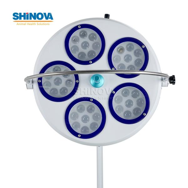 Standing LED Cold Light Surgery Light