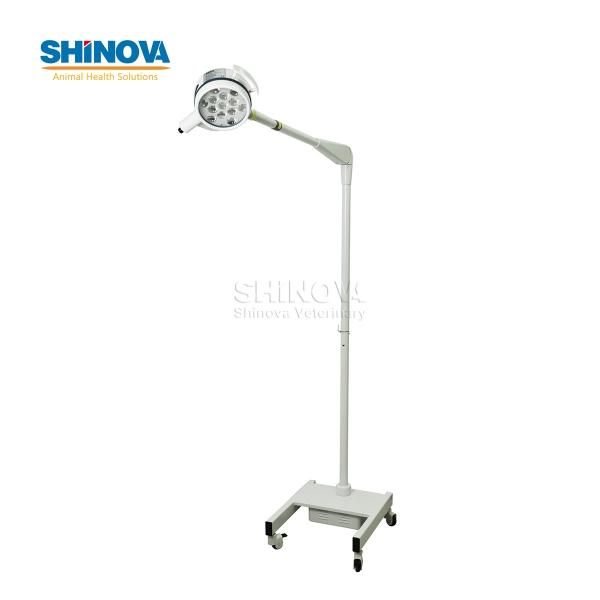 Standing LED Surgery Light