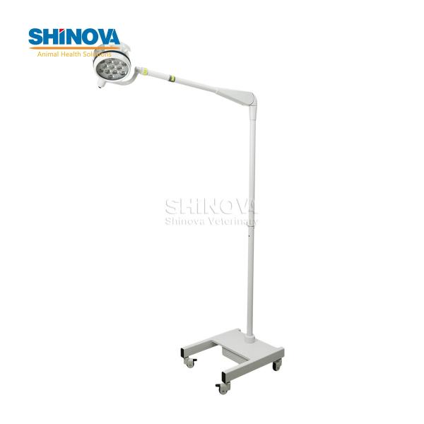 Standing LED Surgery Light