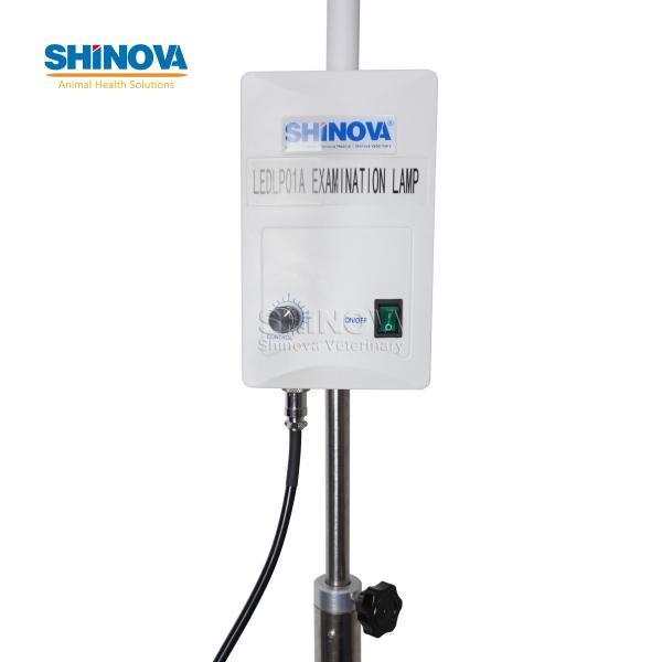 Standing LED Examination Light