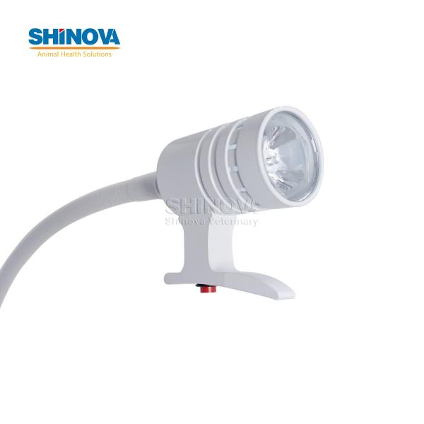 Standing LED Examination Light