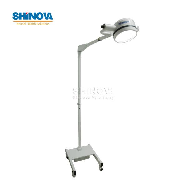 Standing LED Surgery Light