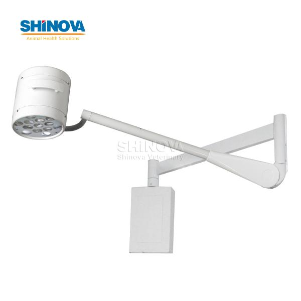 Wall-mounted LED Surgery Light