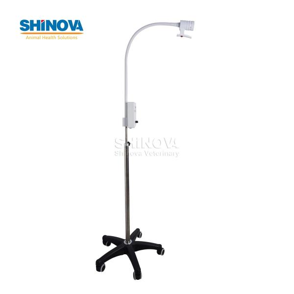 Standing LED Examination Light
