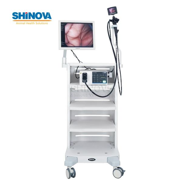 High-definition Veterinary Video Endoscope (3.5-Meter)