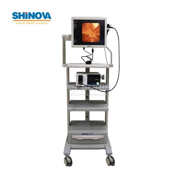 High-definition Veterinary Video Endoscope