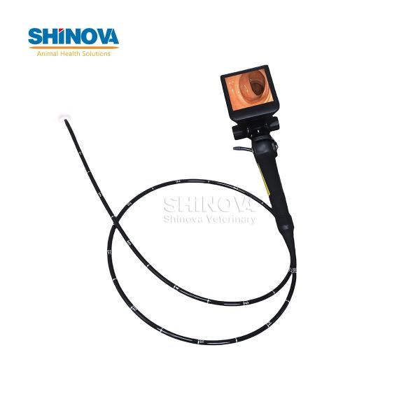 Veterinary Bronchoscope Portable HD Veterinary Video Endoscope with 4