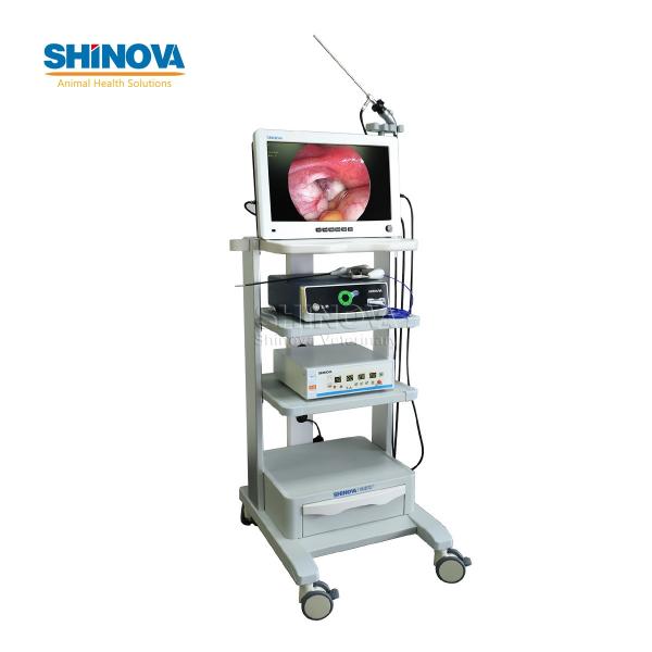 22-inch Mobile High-definition Endoscopic Imaging System