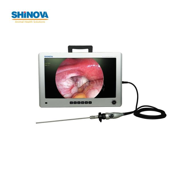 22-inch Mobile High-definition Endoscopic Imaging System