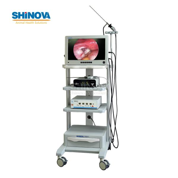 22-inch Mobile High-definition Endoscopic Imaging System