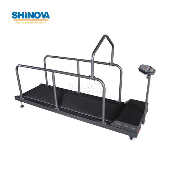 Pet Treadmill