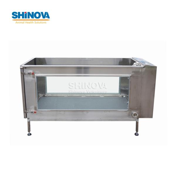 Pet Underwater Treadmill