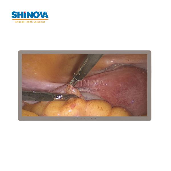 Full HD Endoscopic Surgery Medical Display