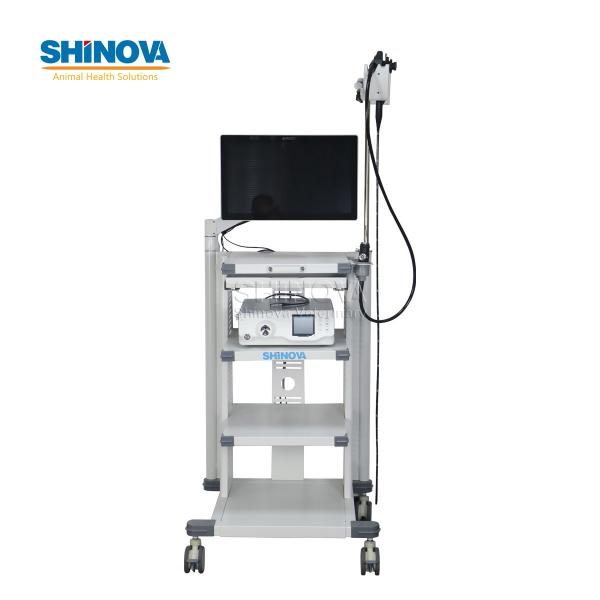 1.2-Meter Veterinary Endoscopy Tower System