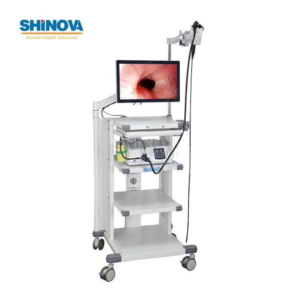 1.5-Meter Veterinary Endoscopy Tower System