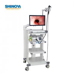 3.3-Meter Veterinary Endoscopy Tower System