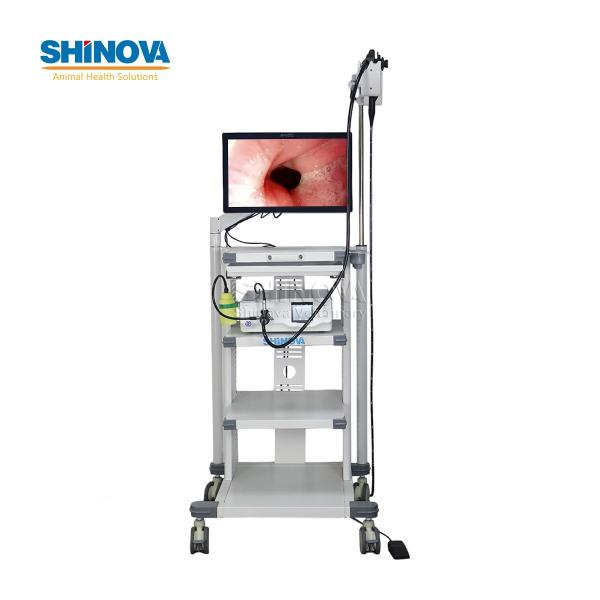 1.5-Meter Veterinary Endoscopy Tower System