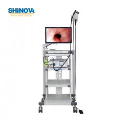 1.5-Meter Veterinary Endoscopy Tower System
