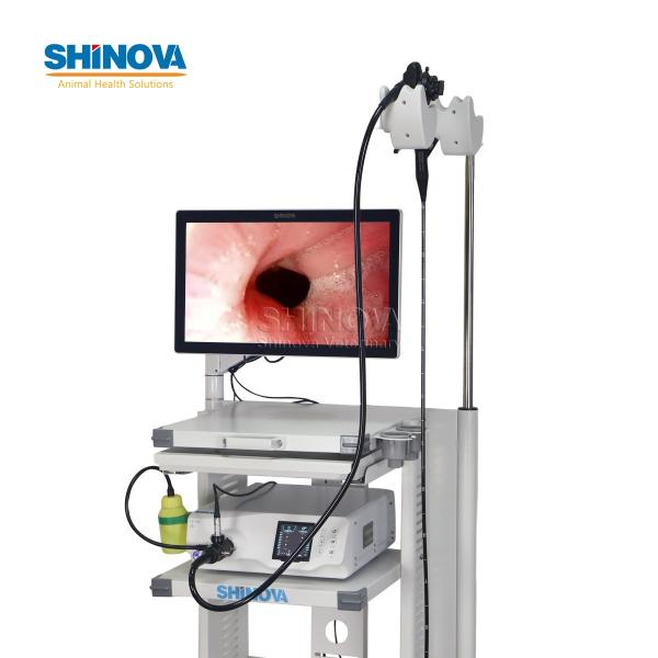1.5-Meter Veterinary Endoscopy Tower System