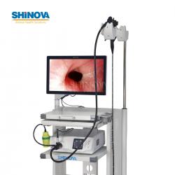 1.5-Meter Veterinary Endoscopy Tower System