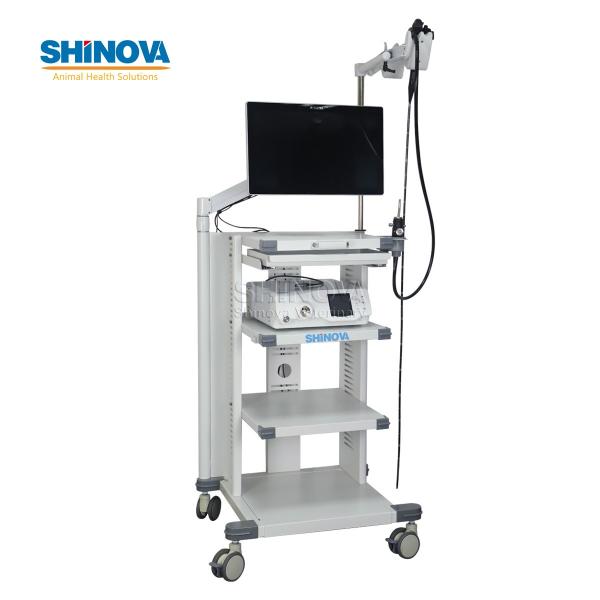 1.5-Meter Veterinary Endoscopy Tower System