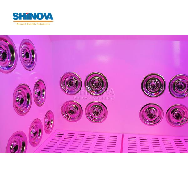 Large-sized Automatic Pet Dryer Room 