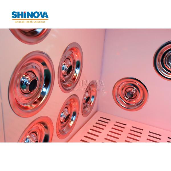 Middle-sized Automatic Pet Dryer Room