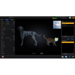 320mA Stationary Veterinary Digital X-Ray (DR)