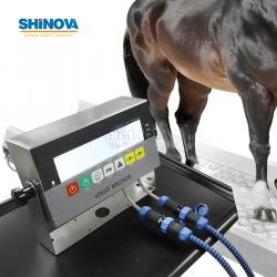 Horse Scale