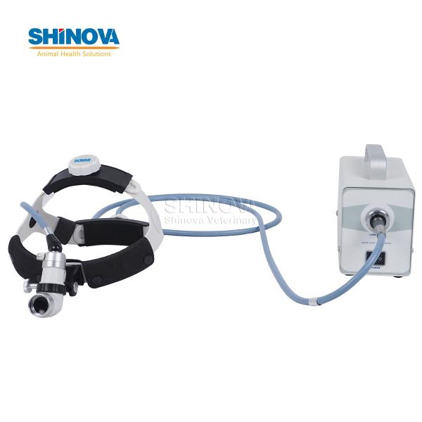 Veterinary Fiber Optic Head Light