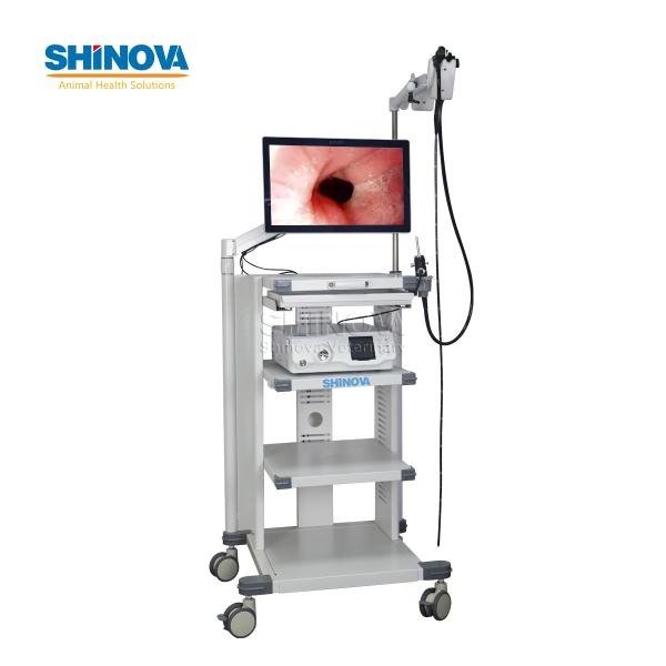 1.5-Meter Veterinary Endoscopy Tower System