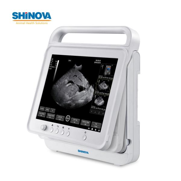 Touch Color Doppler Ultrasound Scanner System