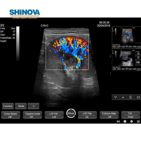 Touch Color Doppler Ultrasound Scanner System