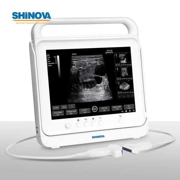 Touch Color Doppler Ultrasound Scanner System