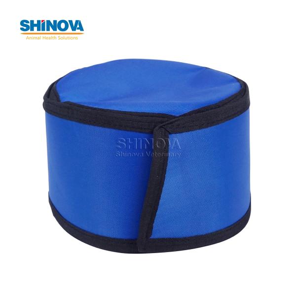 X-Ray Lead Cap