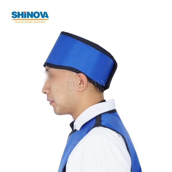X-Ray Lead Cap