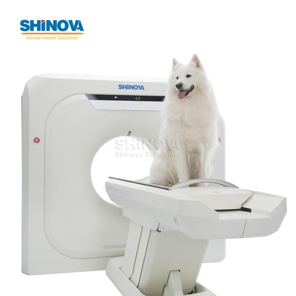 Veterinary CT Scanner