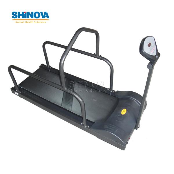 Pet Treadmill