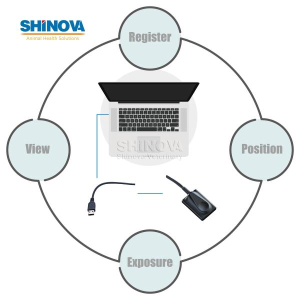 Digital Intraoral X-Ray Imaging System