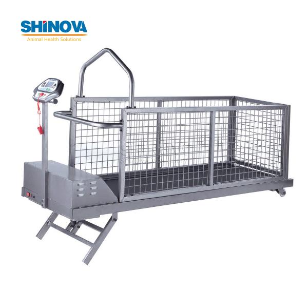Pet Treadmill