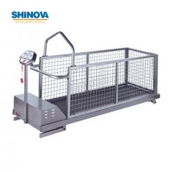 Pet Treadmill
