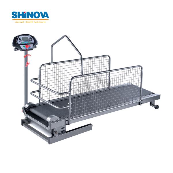 Pet Treadmill