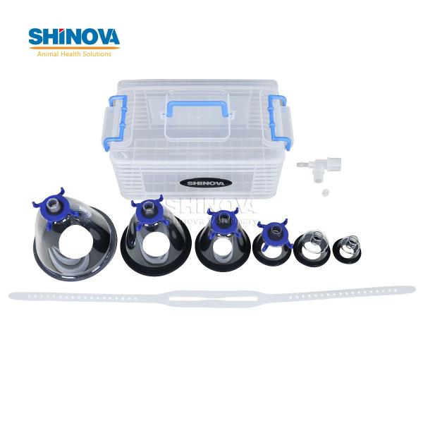 Animal Mask Set (6pcs/set)