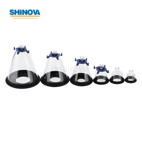 Animal Mask Set (6pcs/set)