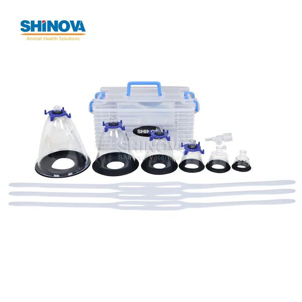 Animal Mask Set (6pcs/set)